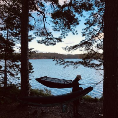 Summer Summary with Zebbe Landmark